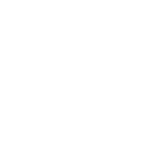 Racing Bulls logo